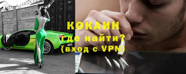 шишки Арсеньев