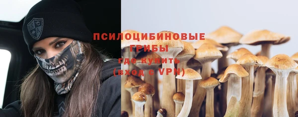 шишки Арсеньев