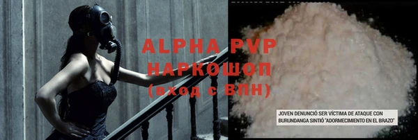 шишки Арсеньев