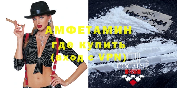шишки Арсеньев