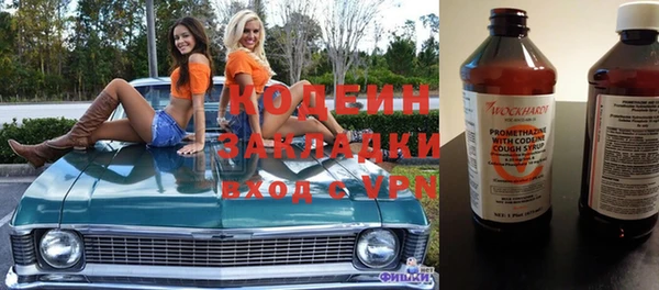 шишки Арсеньев