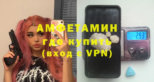 шишки Арсеньев