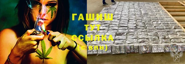 шишки Арсеньев