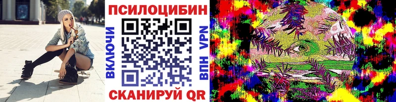 купить наркотик  Болхов  ссылка на мегу ссылки  Псилоцибиновые грибы Cubensis 